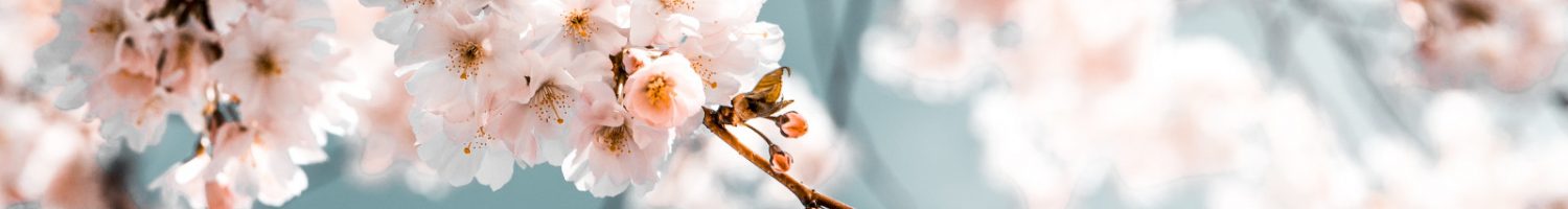 Mindful-Brand-Business-Cursos-y-programas-en-linea-para-coaches-consultoras-y-emprendedoras-008.jpg Mindful-Brand-Business-Cursos-y-programas-en-linea-para-coaches-consultoras-y-emprendedoras-008.jpg
